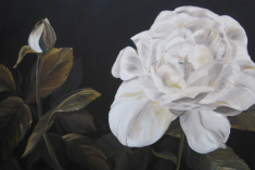 Full Bloom Oil 20"x40"  SOLD