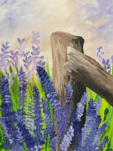 Lavendar Garden
