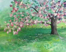 Spring Bloom